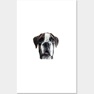 Boxer Cute Dog Posters and Art